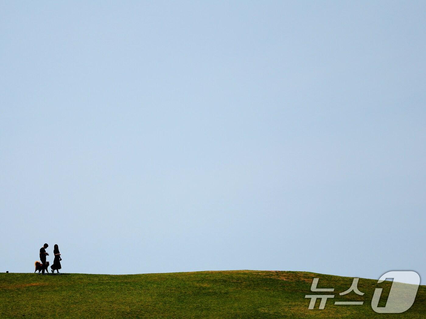 본문 이미지 - (사진은 기사 내용과 무관함) / 뉴스1 ⓒ News1