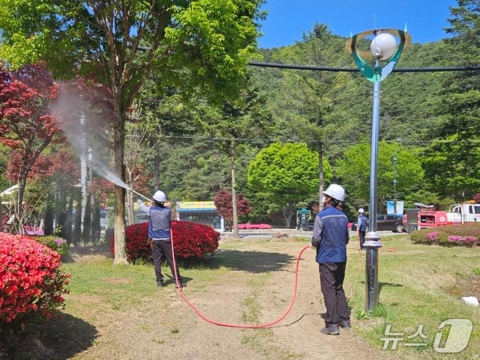 본문 이미지 - 산림병해충 방제 장면 (보은군 제공. 재판매 및 DB금지) /뉴스1 
