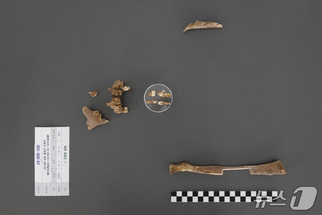 본문 이미지 - 2024년 11월 강원도 철원군 원남면 주파리에서 발굴된 유해. (국유단 제공)