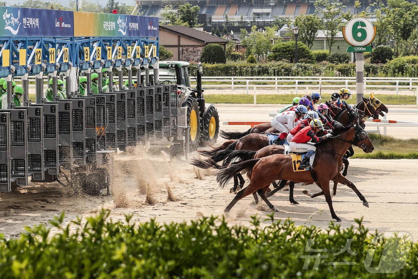 렛츠런파크 서울 경주 출발 장면. (한국마사회 제공) ⓒ News1 
