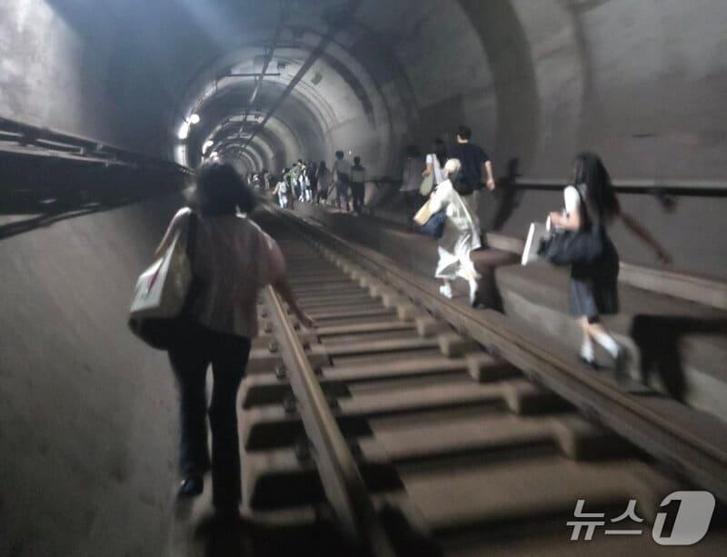 본문 이미지 - (온라인 커뮤니티 갈무리) /뉴스1