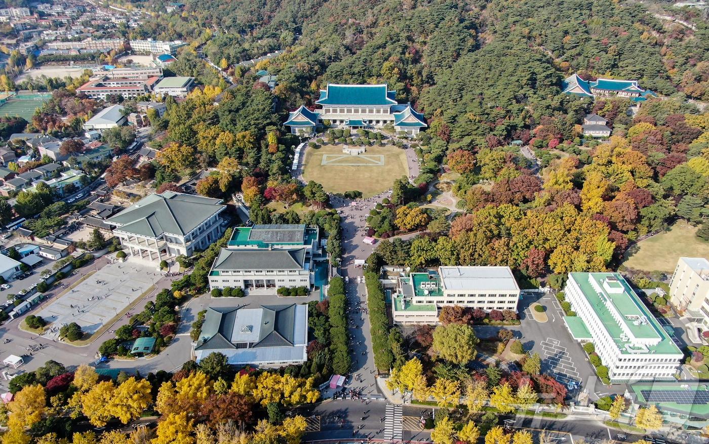 본문 이미지 -  청와대 전경. (뉴스1 DB)  ⓒ 뉴스1 김진환 기자