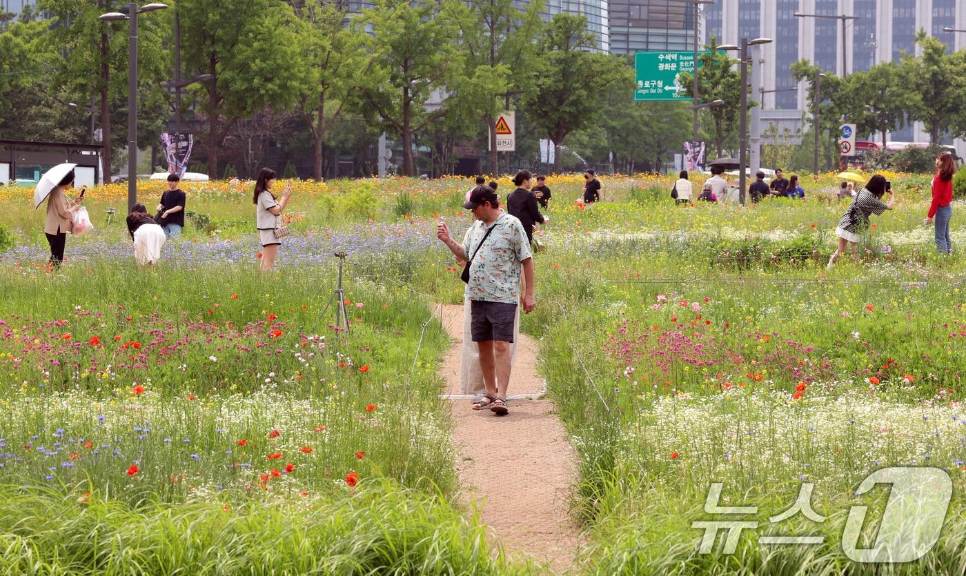 초여름 날씨를 보인 7일 서울 종로구 열린송현공원에서 시민들이 꽃밭을 걸으며 나들이를 하고 있다. 기상청은 당분간 전국 대부분 지역의 낮 기온이 25도 이상으로 오르고, 특히 내륙은 30도 이상으로 오른다고 예보했다. 2025.6.7/뉴스1 ⓒ News1 김명섭 기자