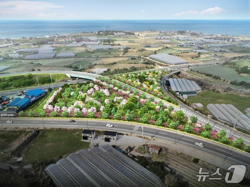 본문 이미지 - 제주시 애월읍 구엄교차로 일대 기후대응 도시숲 조감도.(제주시 제공, 재판매 및 DB 금지)