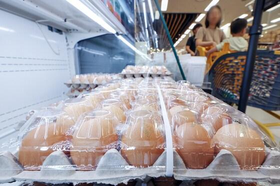 본문 이미지 - 지난 8일 한국농촌경제연구원(농경연)은 '농업관측 6월호' 보고서를 통해 오는 8월까지 석 달간 예측값을 발표하면서 이달 계란 산지 가격이 특란 10개에 1천850∼1천950원으로 1년 전보다 12.4∼18.5% 오를 것으로 내다봤다. 이날 서울의 한 대형마트에서 시민들이 달걀을 고르고 있다. 2025.6.8/뉴스1 ⓒ News1 민경석 기자