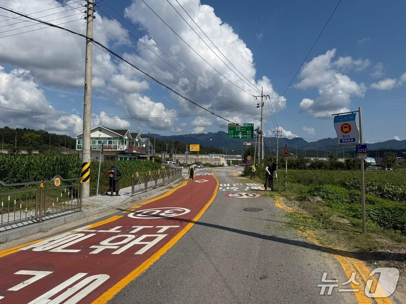 본문 이미지 -  예초작업 중인 모습(경기 가평군 제공. 재판매 및 DB 금지)/뉴스1
