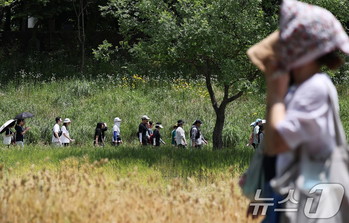 (사진은 기사 내용과 무관함) / 뉴스1 ⓒ News1