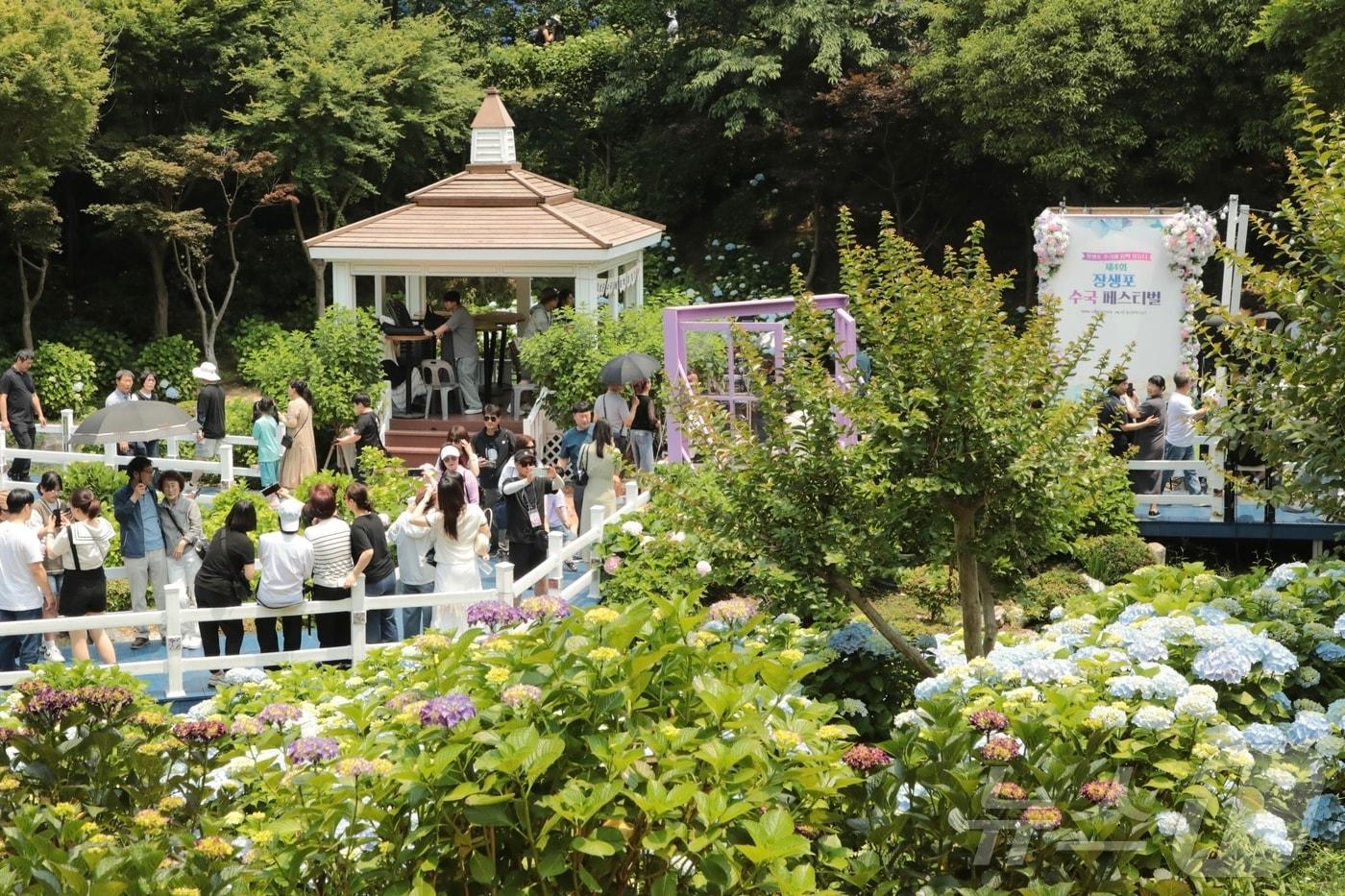 8일 울산 남구 장생포 고래문화마을 일원에서 ‘제4회 장생포 수국 페스티벌’이 열려 나들이객로 붐비고 있다. .2025.6.8./뉴스1 ⓒ News1 김세은 기자