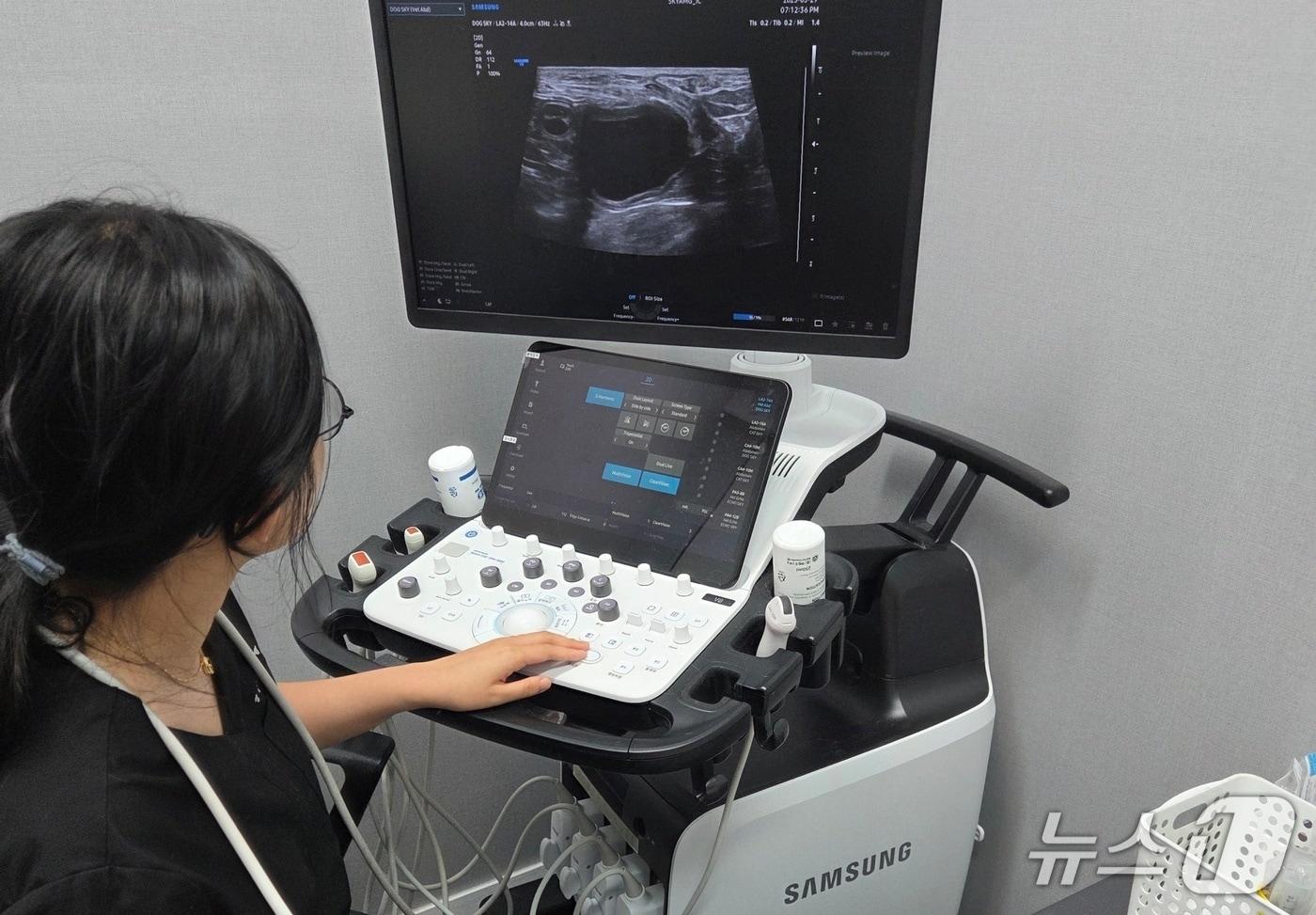 광주스카이동물메디컬센터는 7월 6일 '2025 SAMSUNG SONO VET ACADEMY in 광주'를 개최한다(동물병원 제공). ⓒ 뉴스1