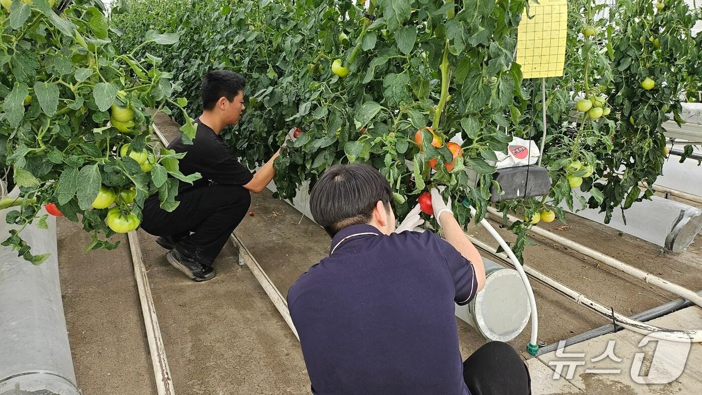 강원생명과학고, 현장실습형 연계 프로그램 진행.(춘천시 제공, 재판매 및 DB금지)