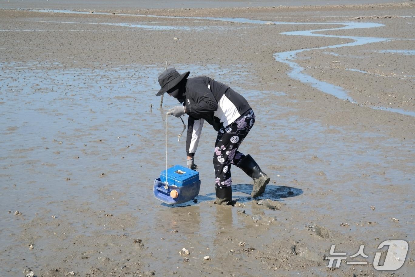 본문 이미지 - 귀어귀촌 자료사진.(경기도 제공, 재판매 및 DB 금지)