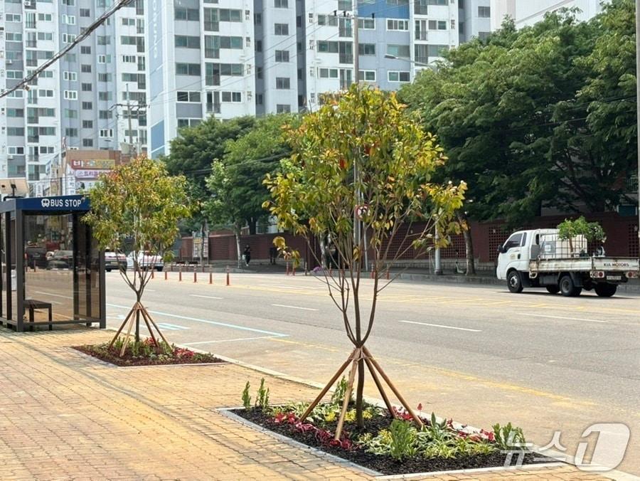 본문 이미지 - 군산시가 백토로 400m 구간에 가로정원을 조성했다.(군산시 제공. 재판매 및 DB금지)