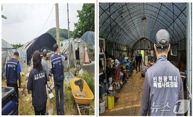 본문 이미지 - 단속 사진.(인천시 제공. 재배포 및 DB금지)2025.6.9/뉴스1