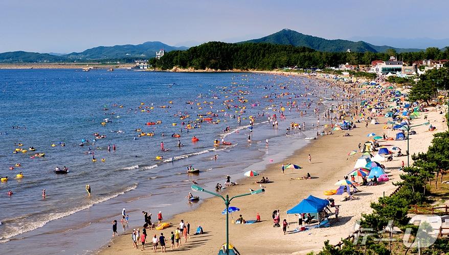 본문 이미지 - 춘장대해수욕장.(서천군 제공 .재판매 및 DB금지)/뉴스1