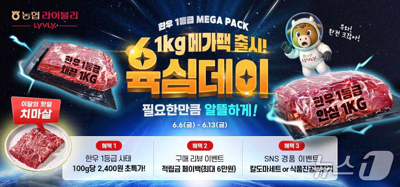 본문 이미지 - (농협 제공)