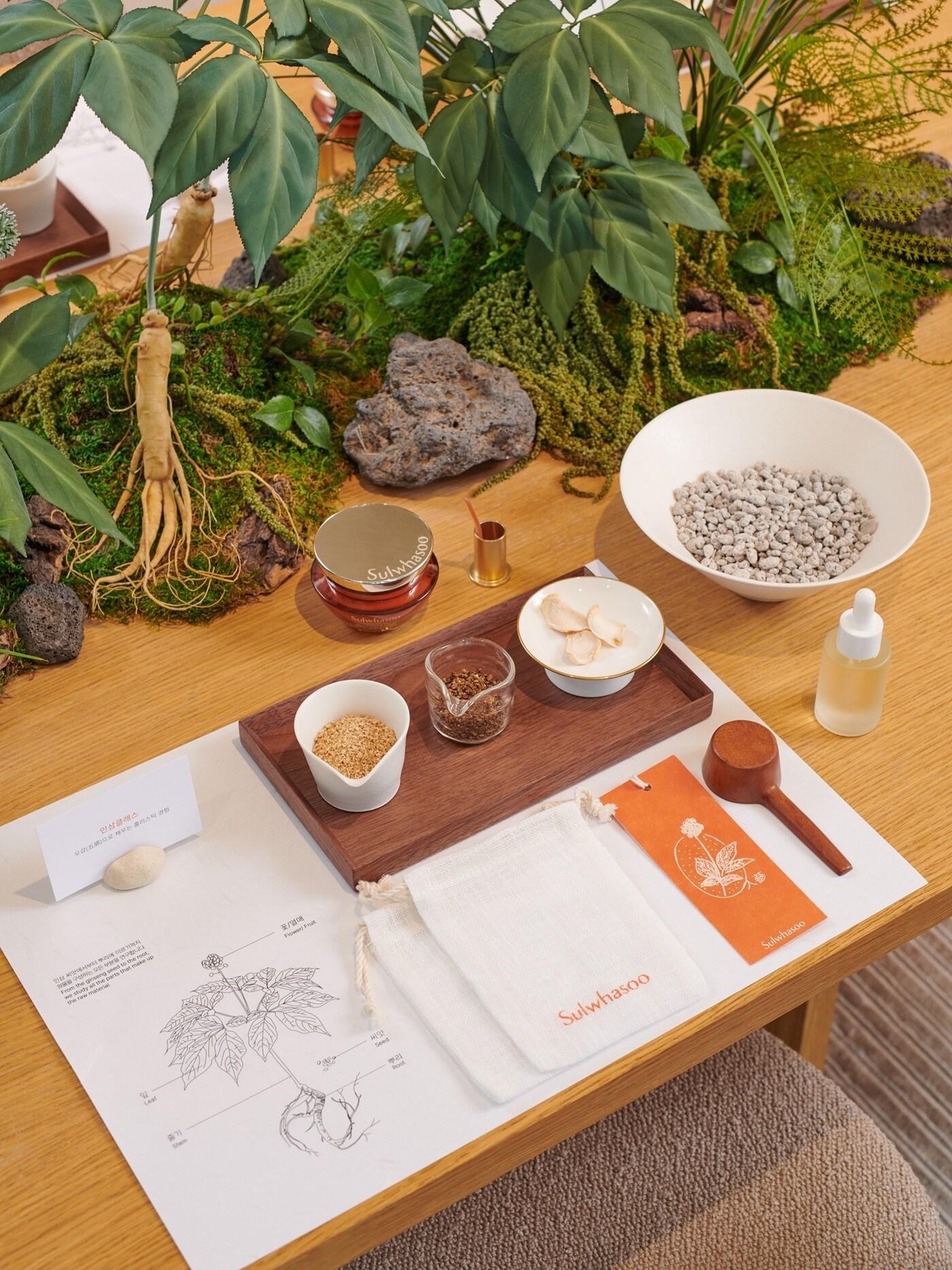 본문 이미지 - 설화수는 1일부터 '인삼 클래스'를 운영한다고 밝혔다.(설화수제공)