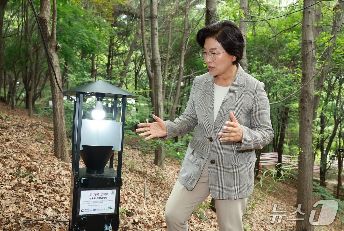 김미경 은평구청장이 러브버그 방제 현장을 살펴보고 있다.(은평구청 제공)