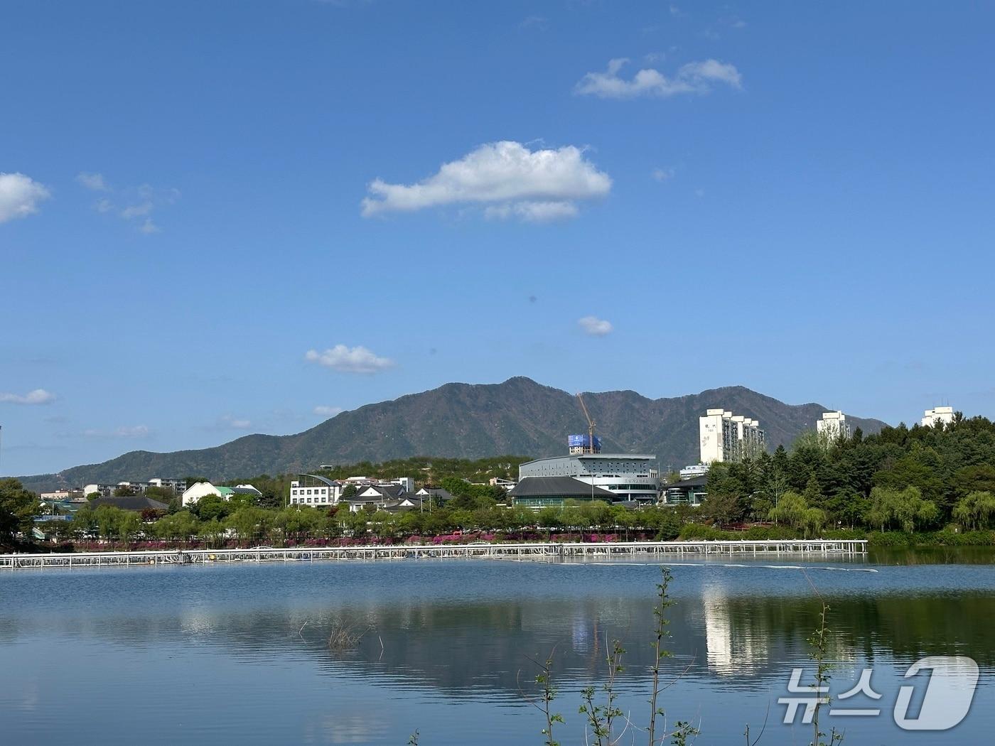 본문 이미지 -  충주 호암지 음악분수/뉴스1