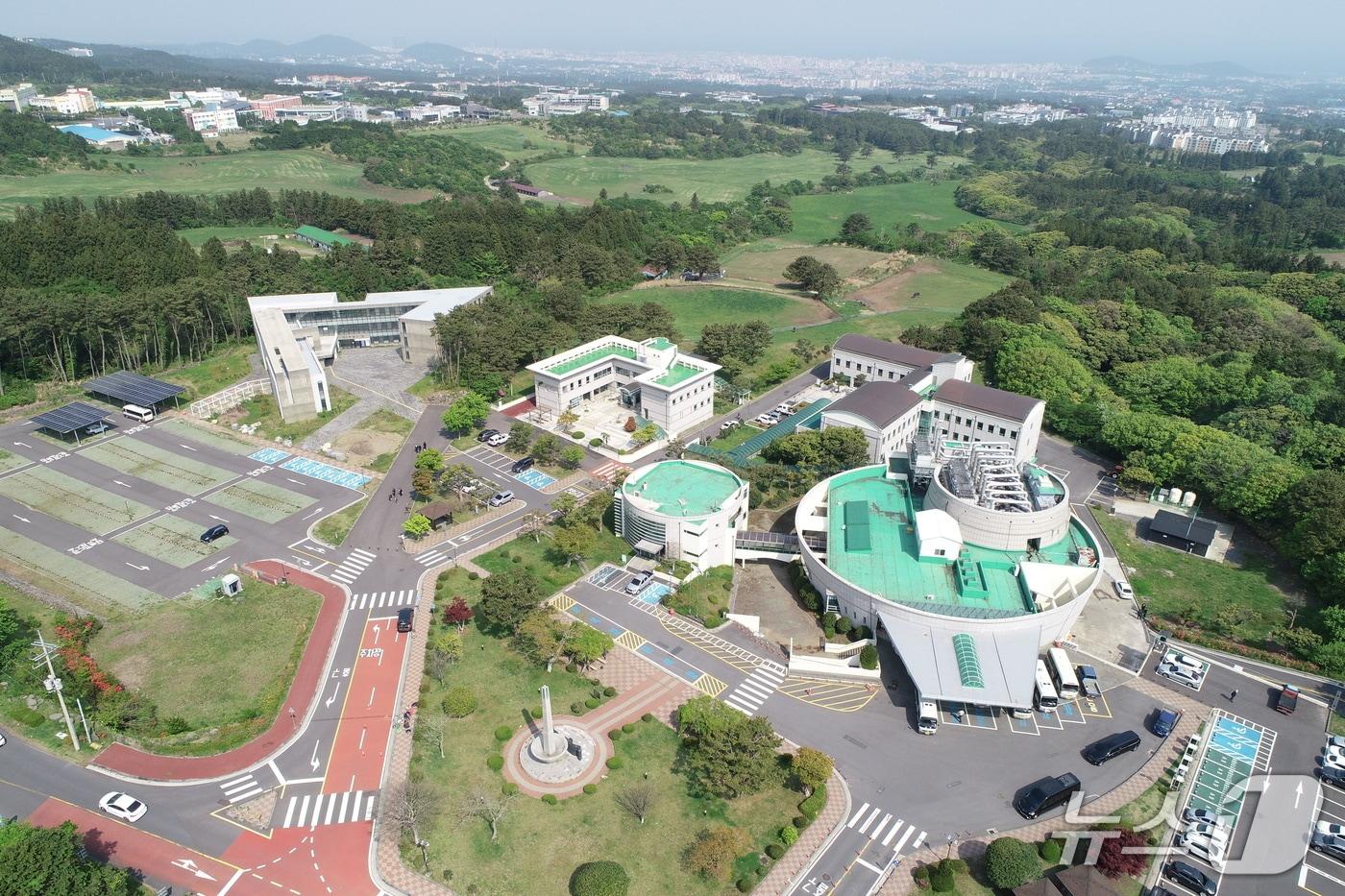  제주 양지공원(제주도 제공)/뉴스1