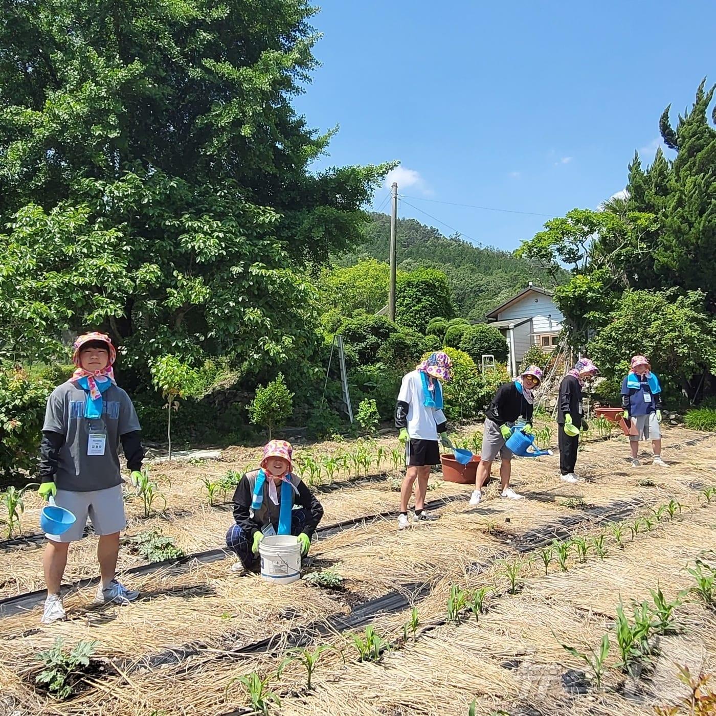 본문 이미지 - 전남 강진군의 농어촌 체험 민박 프로그램인 &#39;학생푸소&#39;.&#40;강진군 제공, 재배포 및 DB 금지&#41; /뉴스1