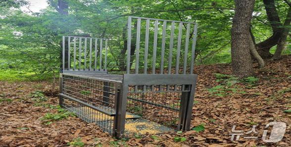 본문 이미지 - 파주 대성동에 설치된 멧돼지 포획틀. (파주시 제공, 재판매 및 DB금지)