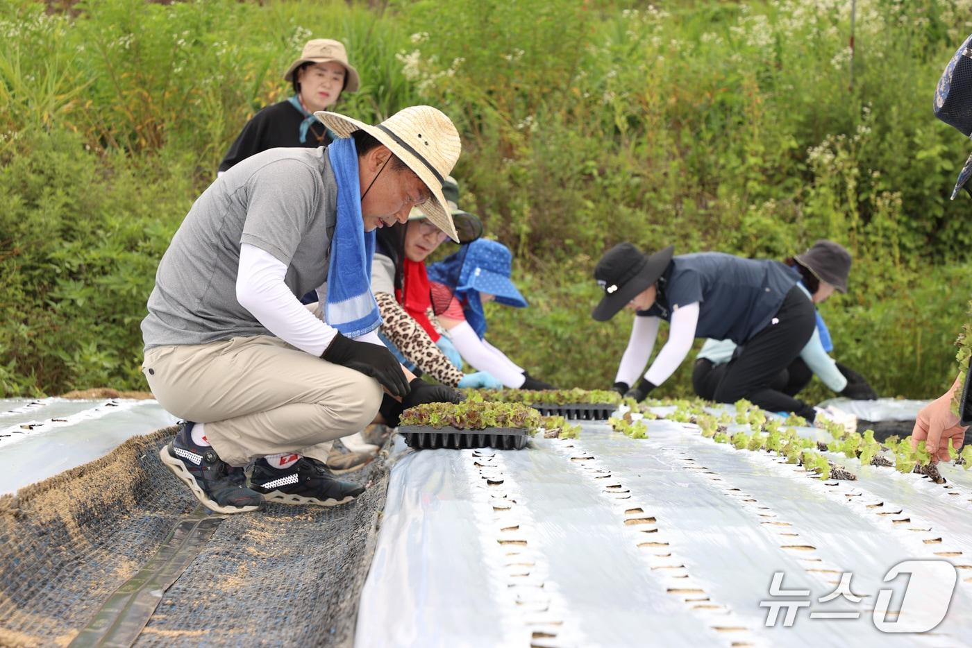1일 전춘성 전북 진안군수가 별도의 민선 8기 취임 3주년 기념행사 없이 영농현장을 찾아 부족한 일손을 거들었다.(진안군제공. 재판매 및 DB금지)2025.7.1/뉴스1