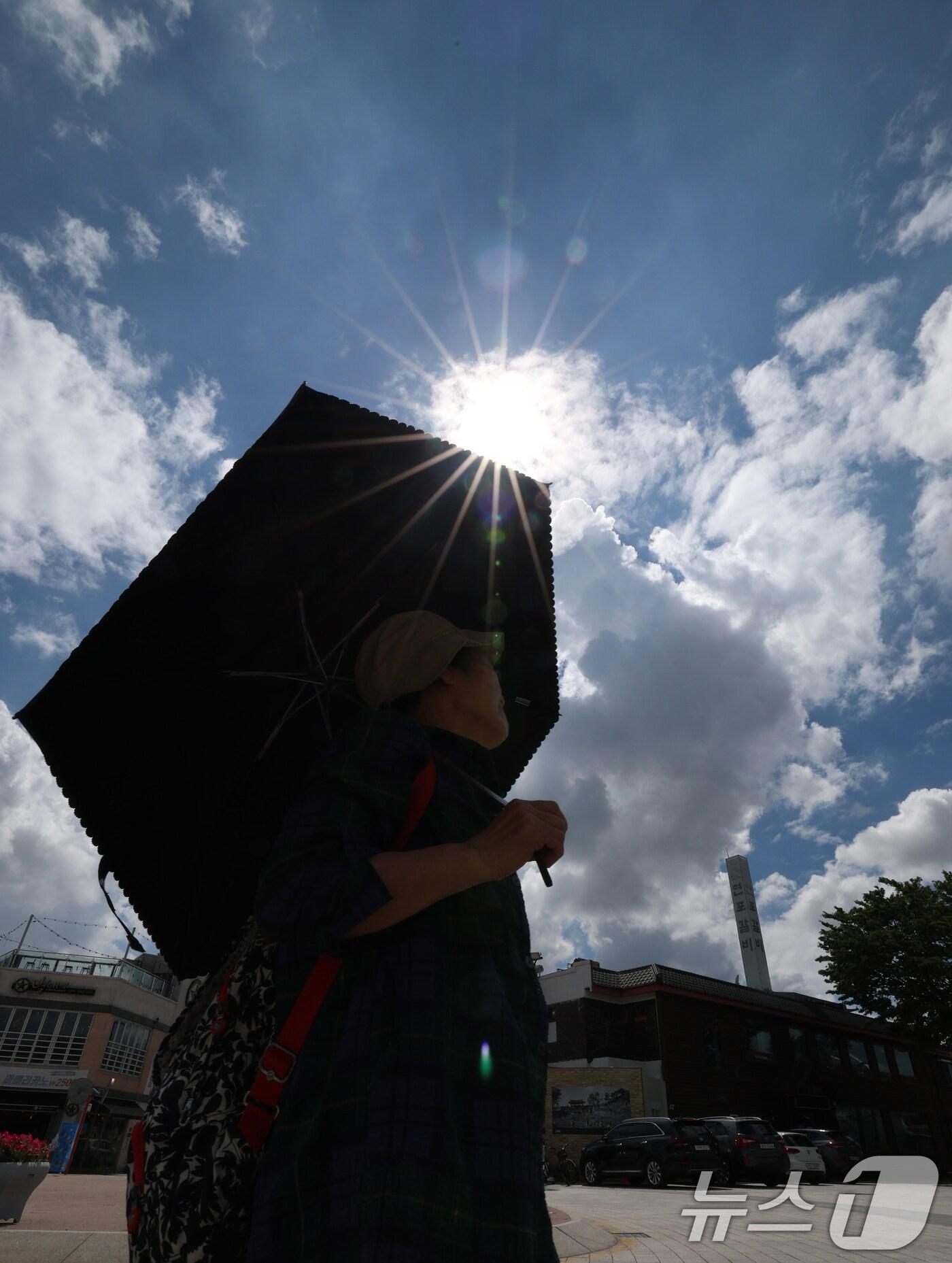 본문 이미지 - 자료사진/뉴스1