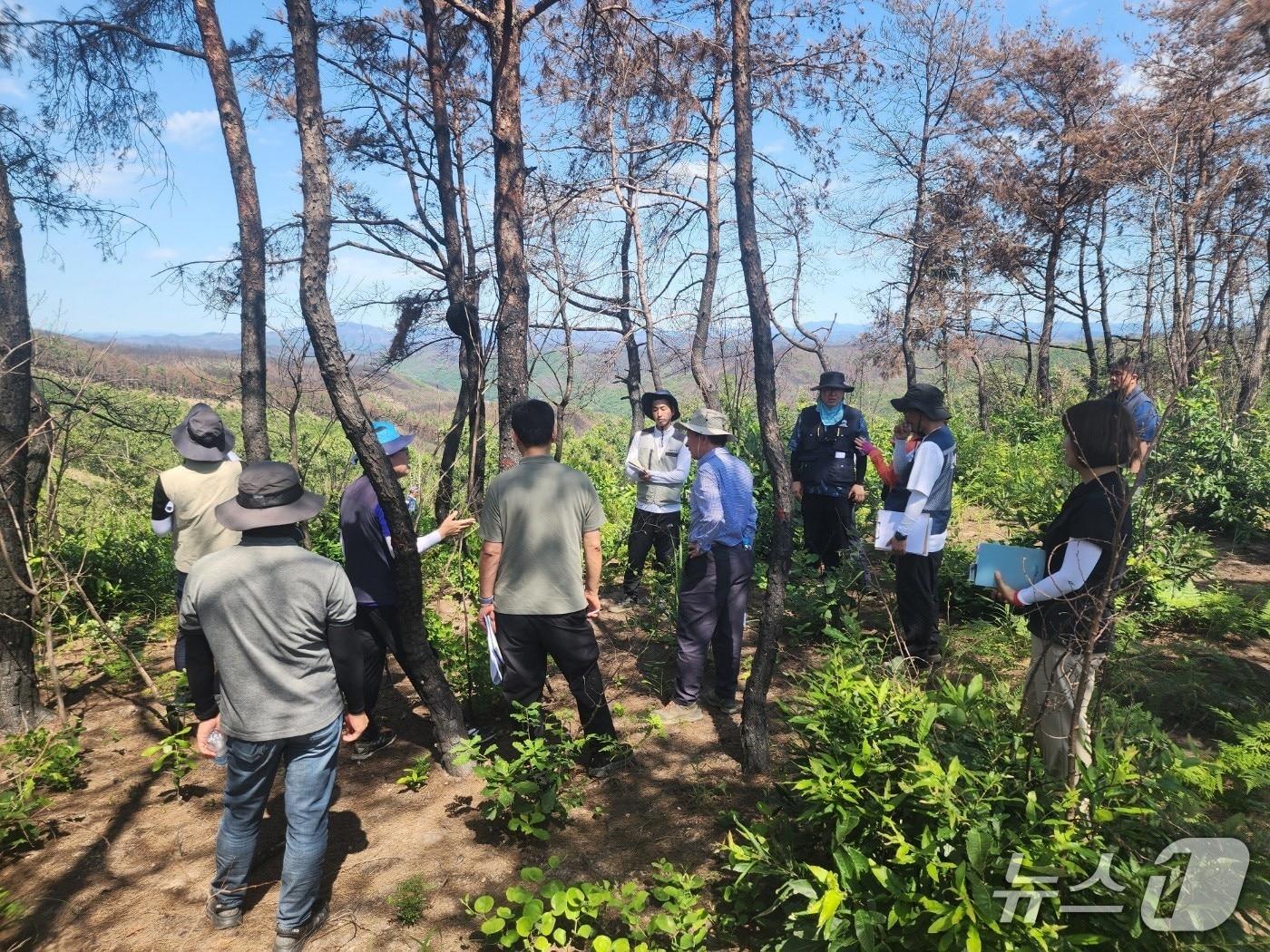 본문 이미지 - 경북 안동시 산불피해지에서 복구 방안을 논의하고 있는 모습. (산림청 제공.재판매 및 DB금지)/뉴스1