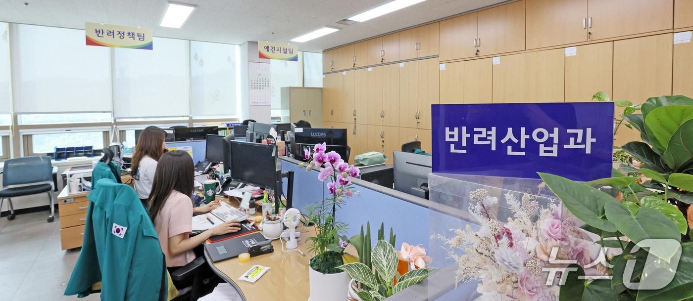 전북 임실군이 대한민국 반려동물 성지로 도약을 위해 전담 부서를 신설했다.&#40;임실군제공. 재판매 및 DB금지&#41;2025.7.10/뉴스1