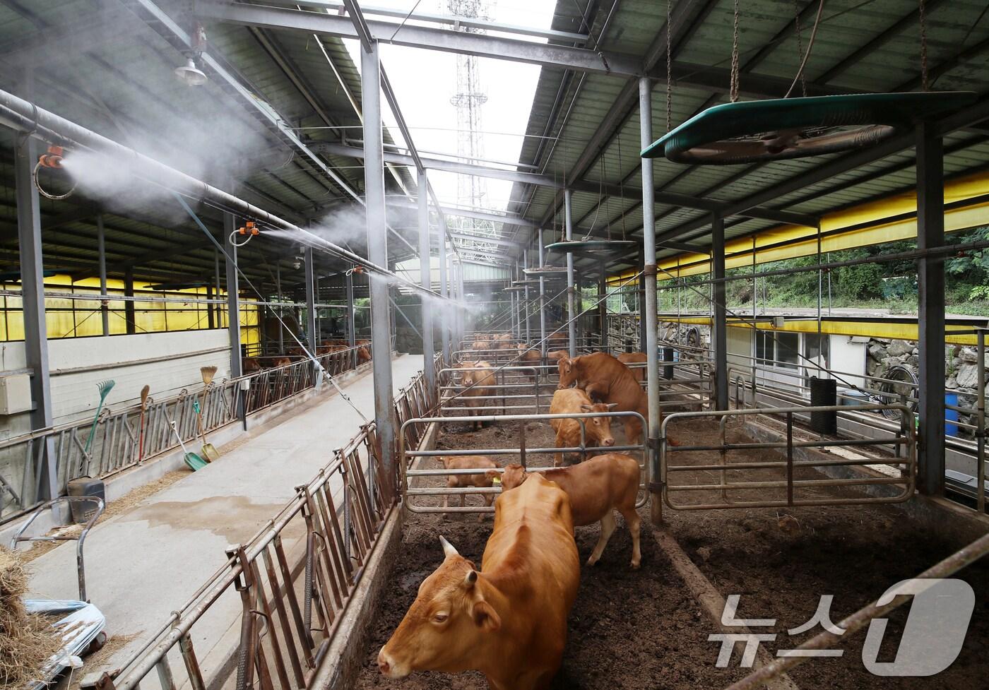  ⓒ News1 윤일지 기자