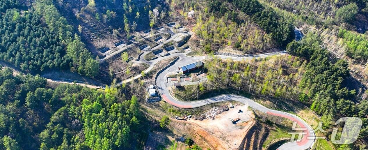 본문 이미지 -  강원 태백 매봉산 ‘천상의숲’. &#40;강원도 제공, 재판매 및 DB금지&#41;