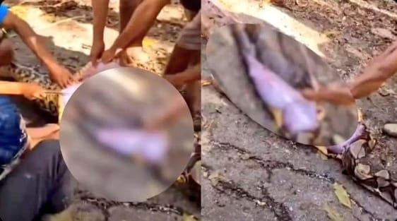 본문 이미지 - 인도 현지 매체 'SatyamevTimes' 의 X(엑스·옛 트위터) 캡처