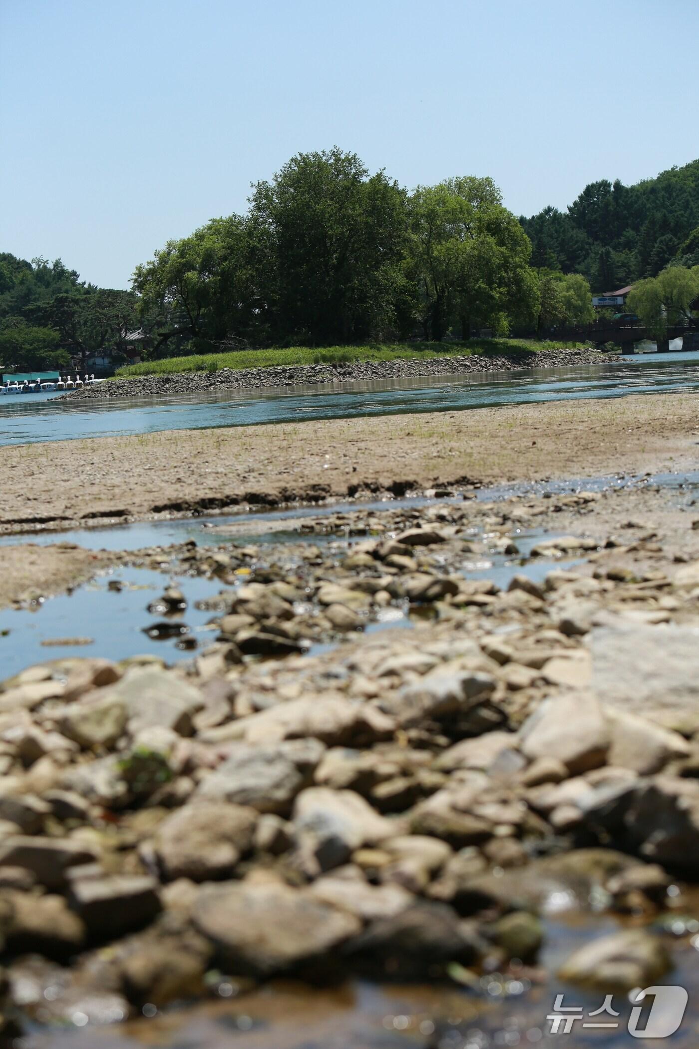 본문 이미지 -  마른 장마와 폭염 등으로 바닥을 드러낸 제천 의림지.2025.7.10/뉴스1ⓒ News1 손도언 기자 