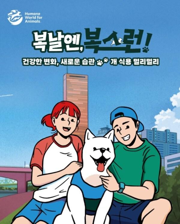 본문 이미지 - '복날엔 복스런' 캠페인 이미지(한국 휴메인 월드 포 애니멀즈 제공) ⓒ 뉴스1