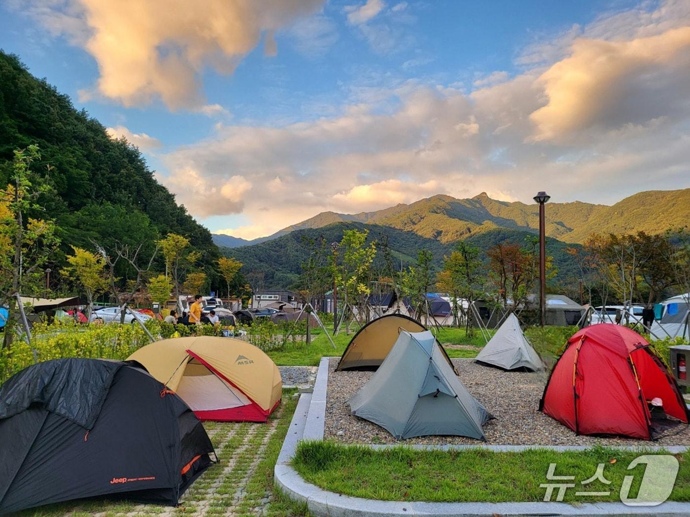 본문 이미지 - 금천계곡야영장 전경 