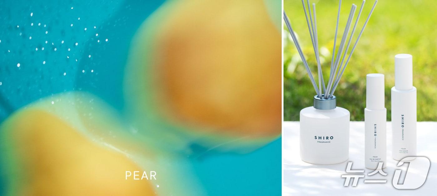 시로, 페어 및 오버 더 레인 라인 신제품 출시(시로 제공)