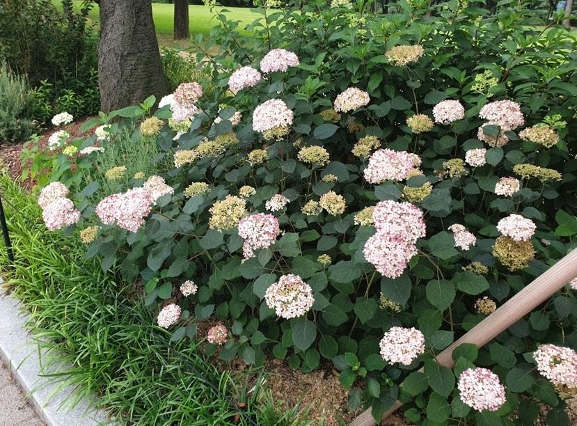 본문 이미지 - (서울시 제공)