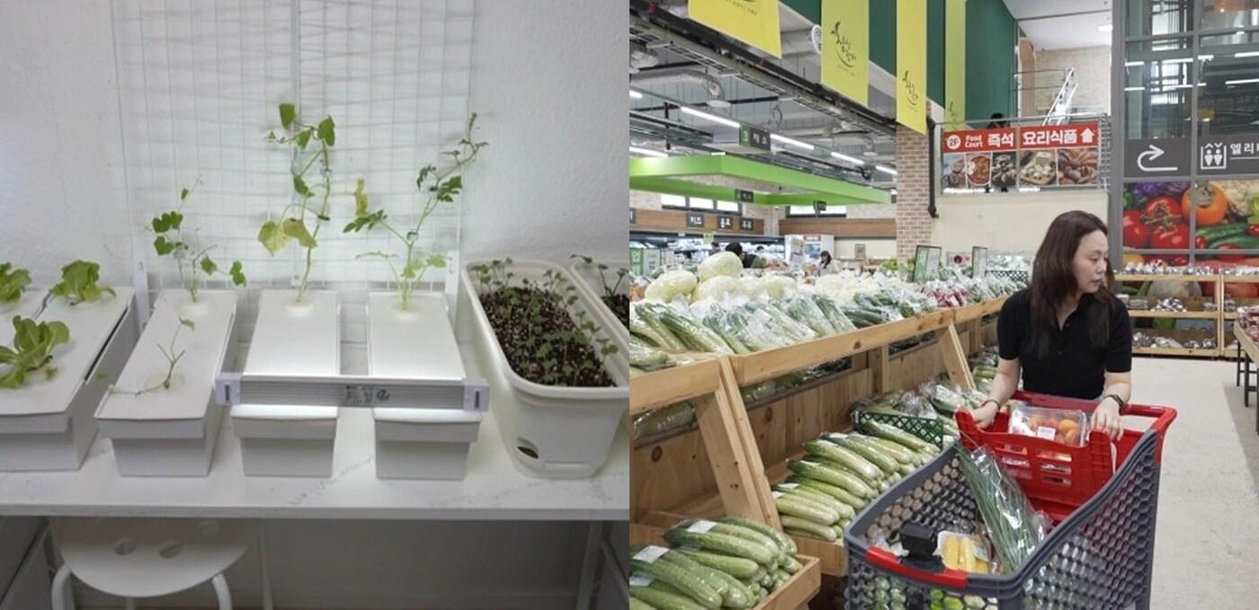 MBC '전지적 참견 시점'