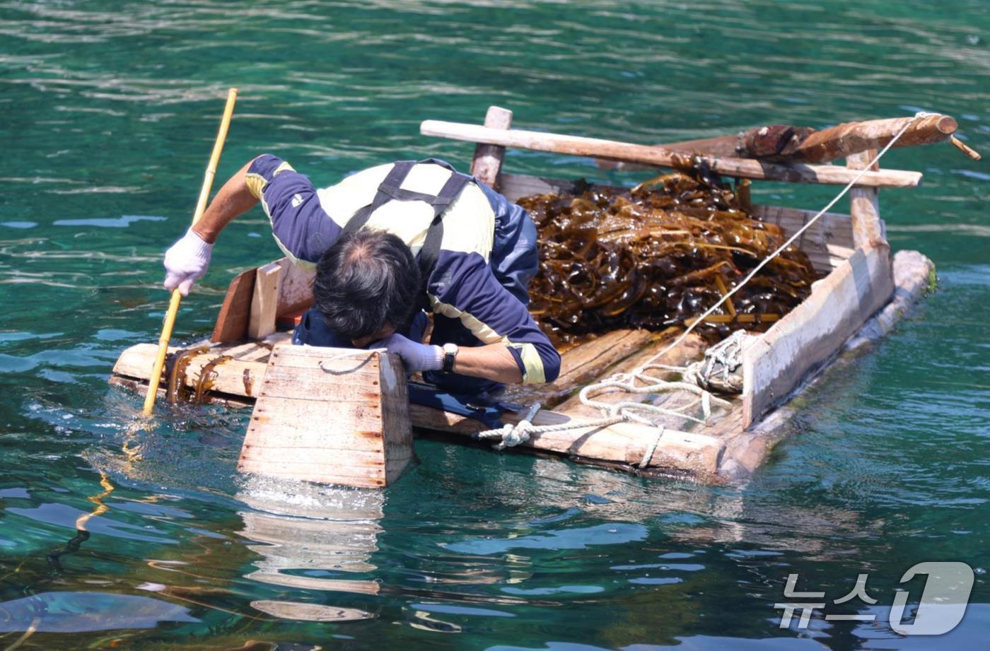 국가중요어업 유산으로 지정된 강릉 창경바리 어업.&#40;강릉시 제공, 재판매 및 DB 금지&#41; 2025.711/뉴스1