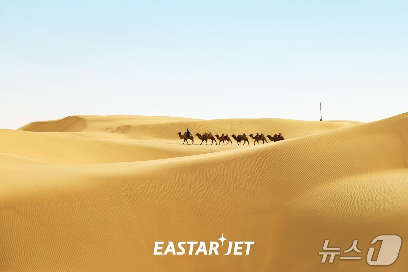  &#40;이스타항공 제공&#41;