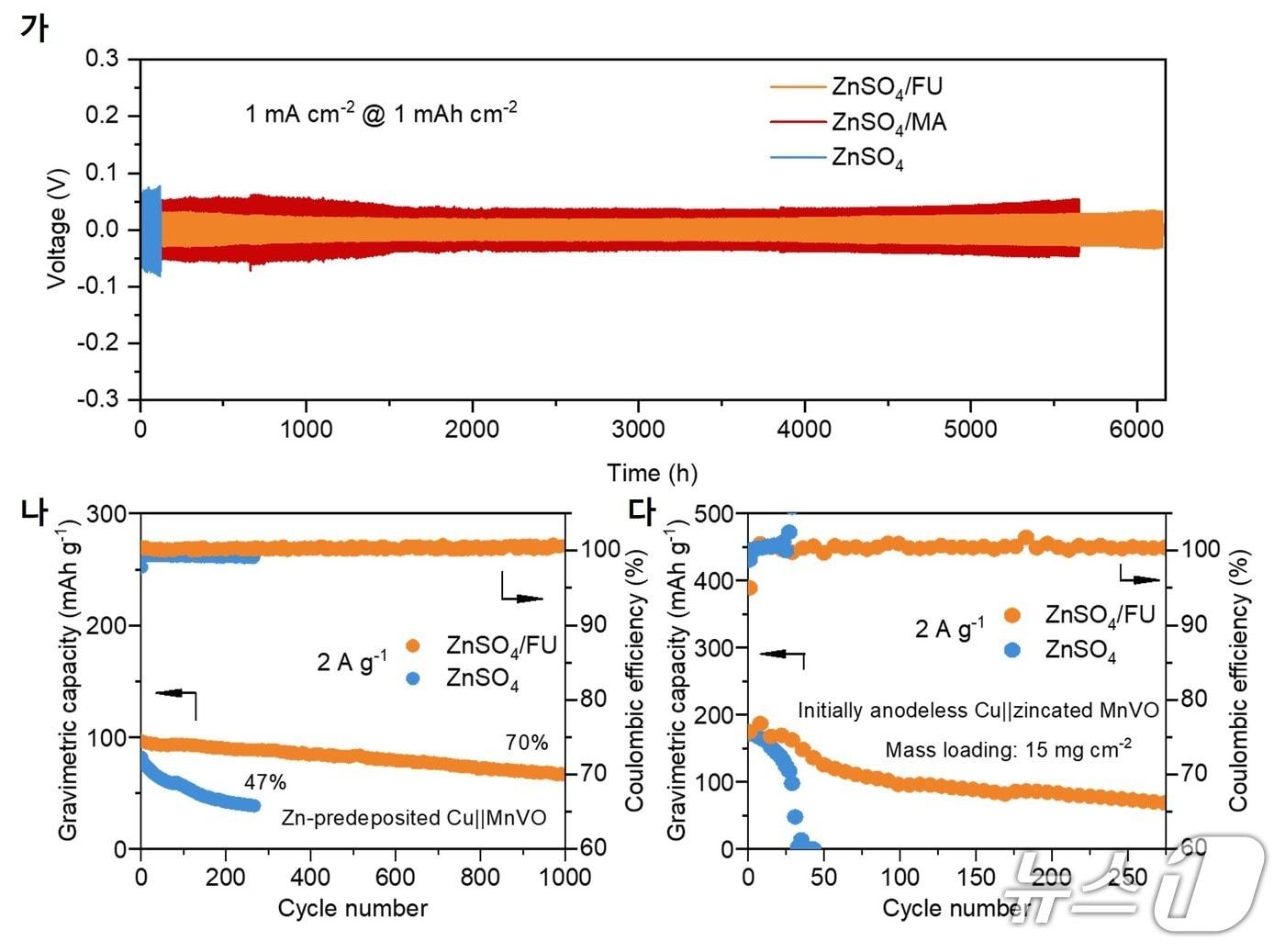 본문 이미지 - 아연 이온 대칭 전지에서 전해질에 따른 아연 증착 거동 결과&#40;한국연구재단 제공&#41; /뉴스1