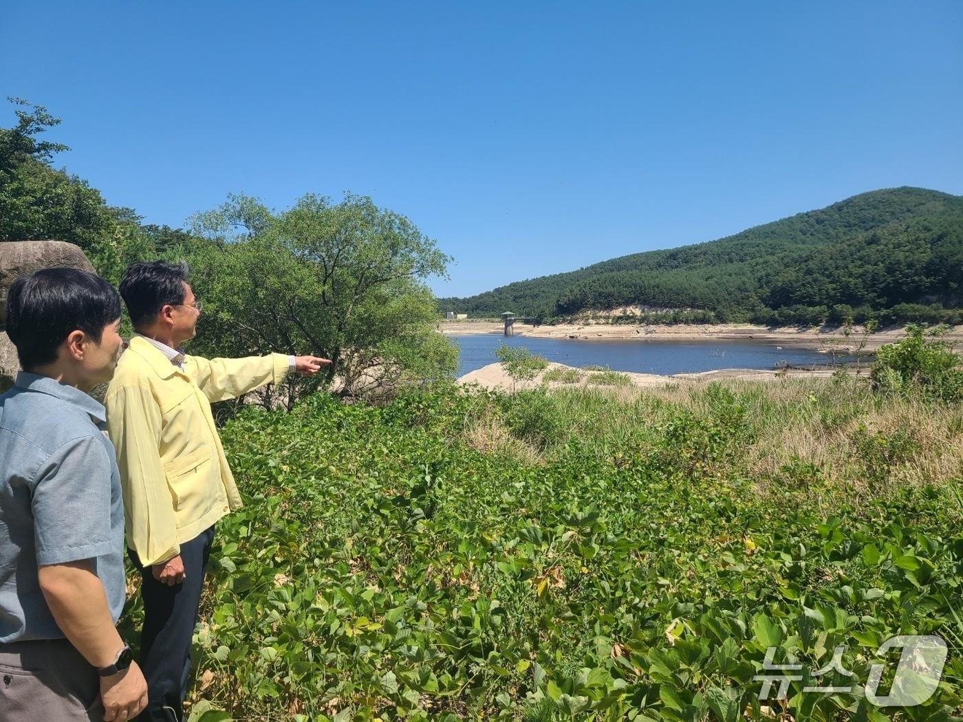 본문 이미지 - 농협중앙회 강원본부는 10일 속초 등 영동지역을 찾아 가뭄피해 현장을 점검했다.(농협 강원본부 제공. 재판매 및 DB금지)/뉴스1