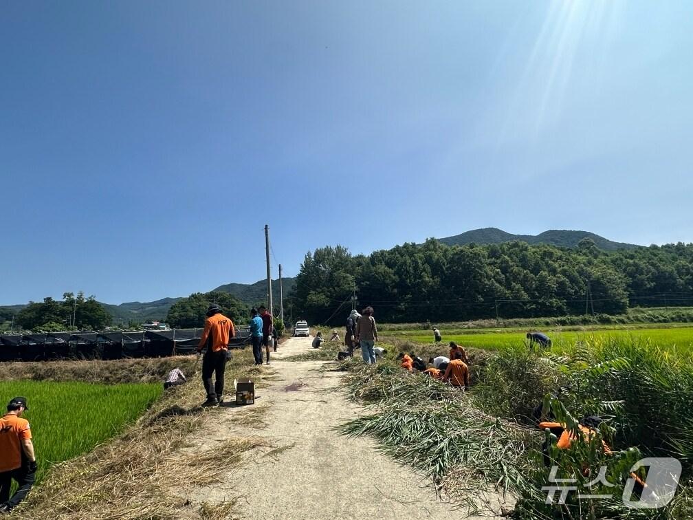 본문 이미지 - 11일 오전 7시 45분쯤 충북 보은군 보은읍 누청2길 인근에서 농업용 드론을 사용하다 60대  남성이 다쳤다.(보은소방서 제공, 재판매 및 DB금지) /뉴스1