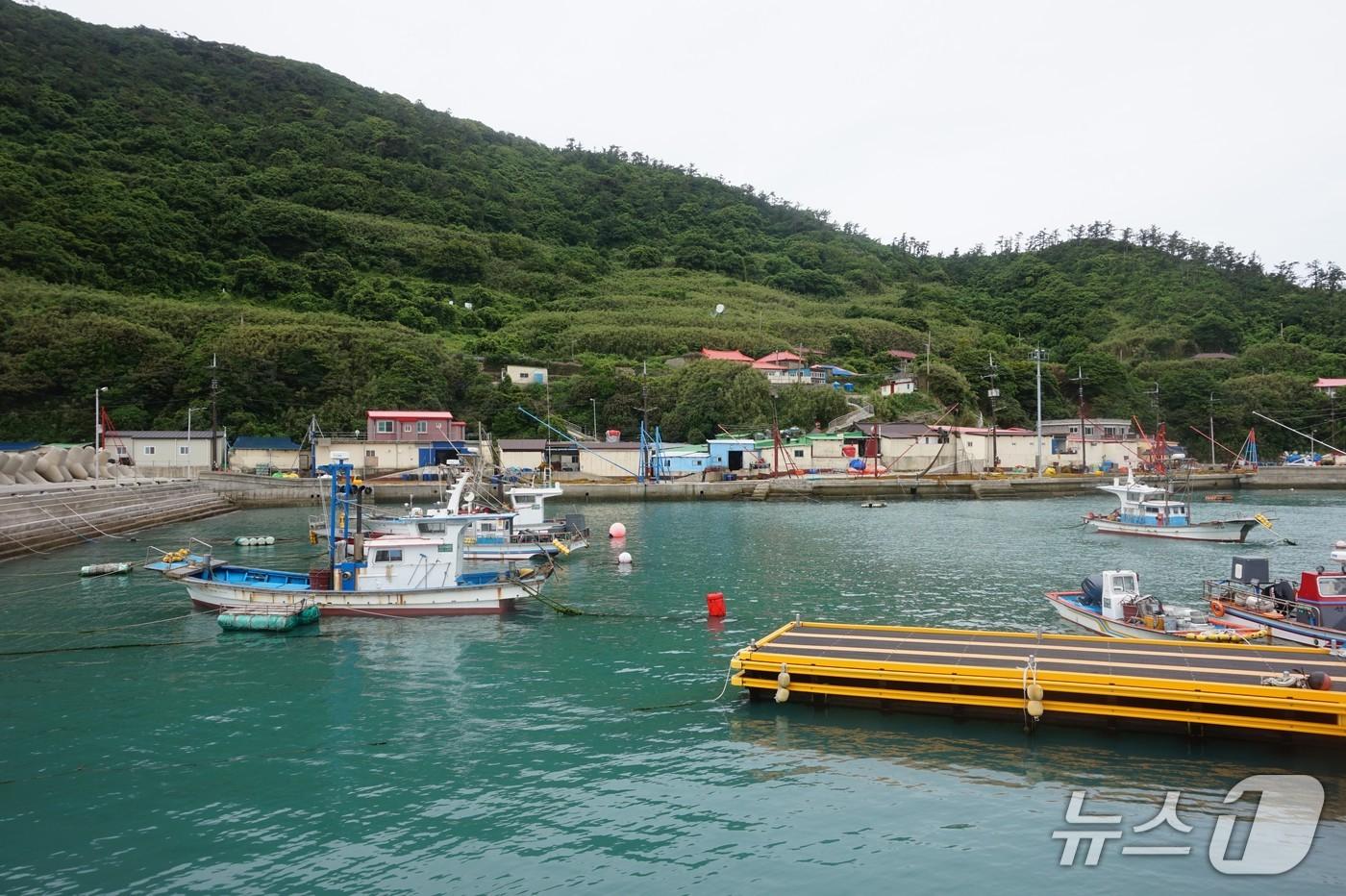 죽항도 선착장에서 본 죽항도리 전경. 2025.7.11/뉴스1 ⓒ News1 조영석 기자