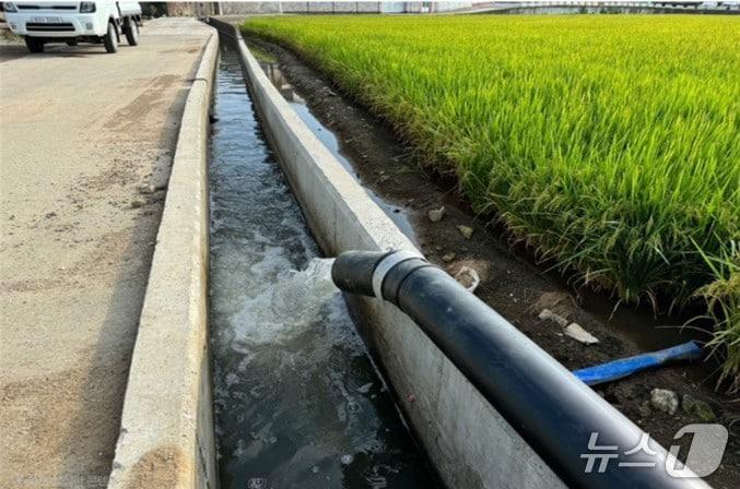 본문 이미지 - 양수장비로 급수하는 모습.&#40;한국농어촌공사 제공. 재판매 및 DB금지&#41; 2025.7.11/뉴스1