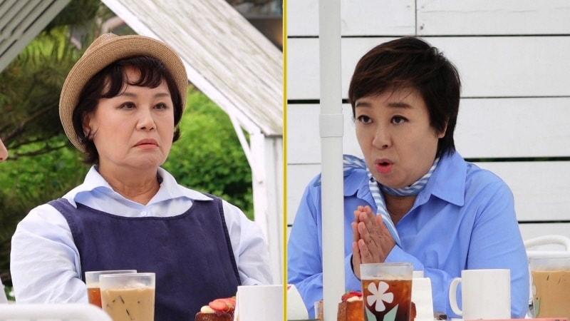 본문 이미지 - KBS 2TV '박원숙의 같이 삽시다'