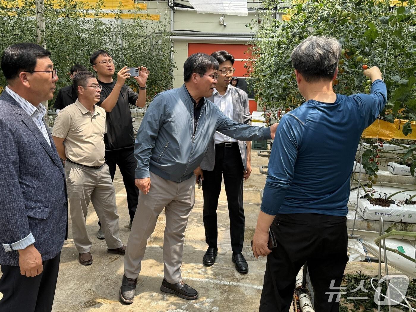 본문 이미지 - 전북농협 관계자들이 11일 김제와 군산지역의 농업 현장을 찾아 온열질환 예방 등을 위한 현장 점검에 나섰다.(전북농협 제공. 재판매 및 DB금지)