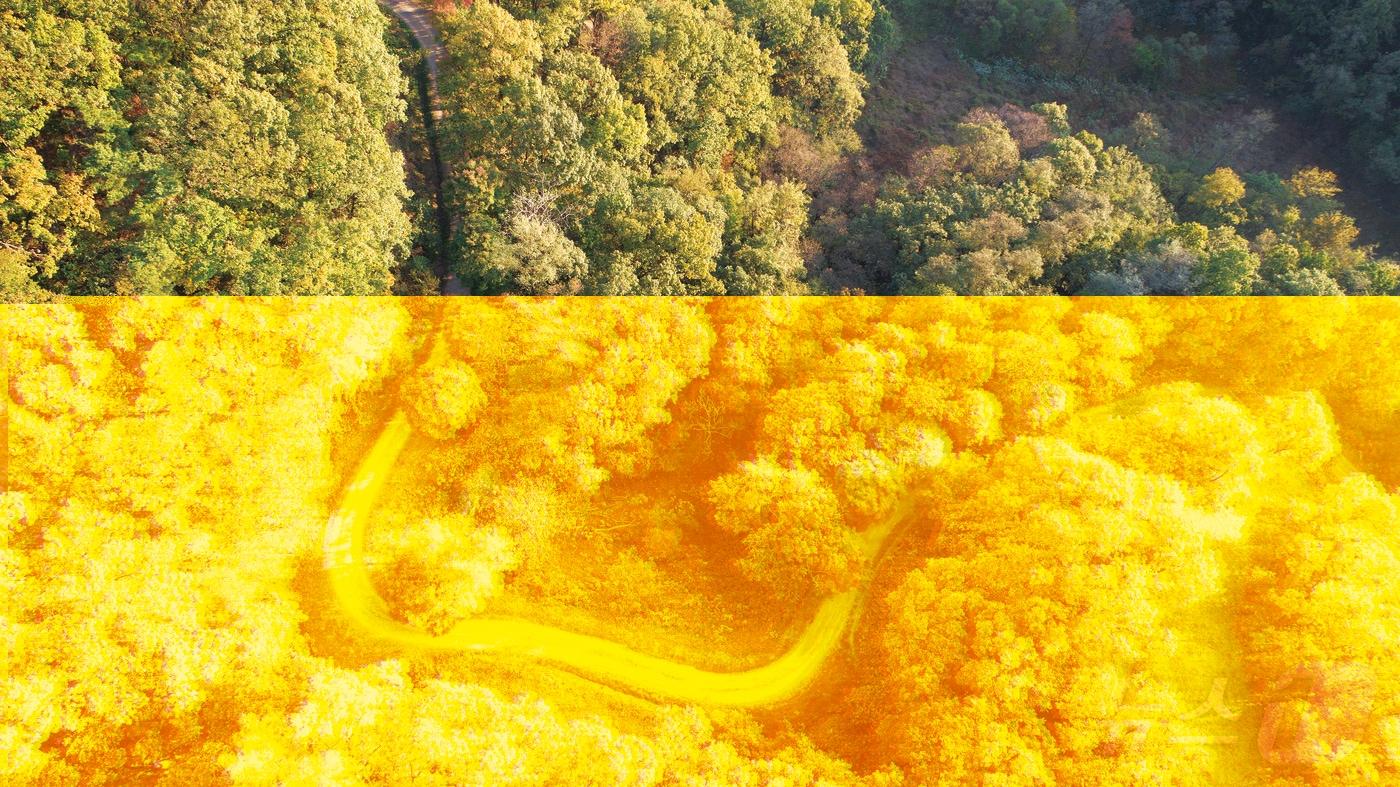 원적산 둘레길 모습.&#40;이천시 제공&#41;