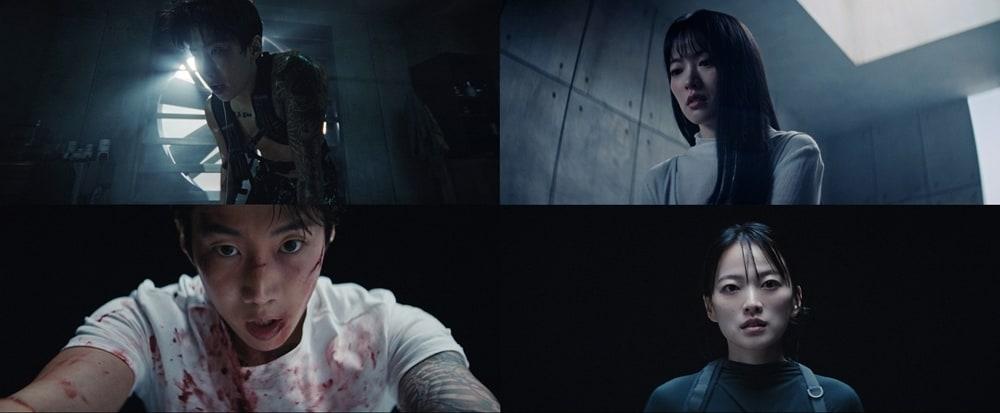 본문 이미지 - 모어비전 제공