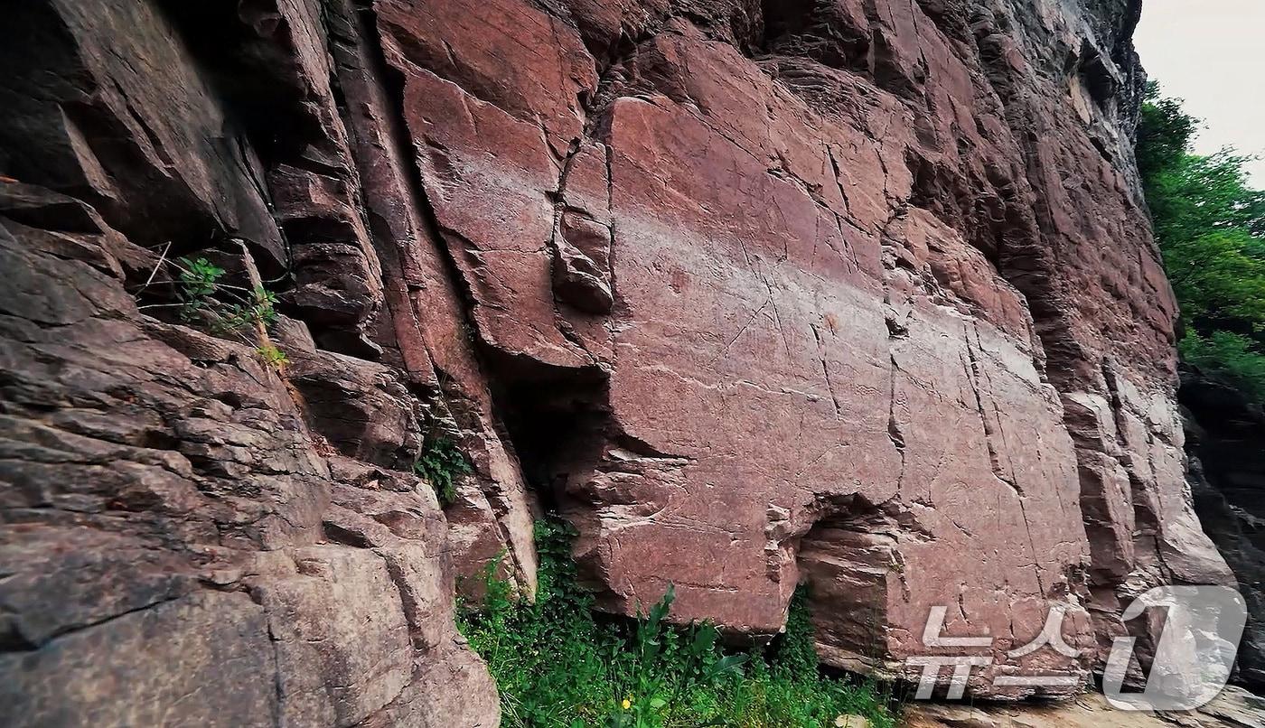 12일&#40;한국시간&#41; 제47차 유네스코 세계유산위원회에서 선사시대 생활문화를 엿볼 수 있는 바위그림인 &#39;반구천의 암각화&#39;를 세계유산 목록에 등재하기로 결정했다. &#39;반구천의 암각화&#39;는 국보로 지정된 &#39;울주 천전리 명문과 암각화&#39;와 &#39;울주 대곡리 반구대 암각화&#39;를 포함하는 유산으로 높이 약 4.5ｍ, 너비 약 8ｍ 암면에 바다동물과 육지동물 등 312점이 새겨져 있다. 사진은 울주 대곡리 반구대 암각화의 모습. &#40;국가유산청 제공. 재판매 및 DB금지&#41; 2025.7.12/뉴스1